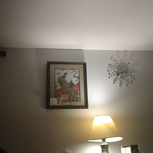 Meet your Posher, Hailey